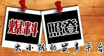 安岳新闻爆料平台有哪些,聚焦本地资讯，共筑信息桥梁  第1张